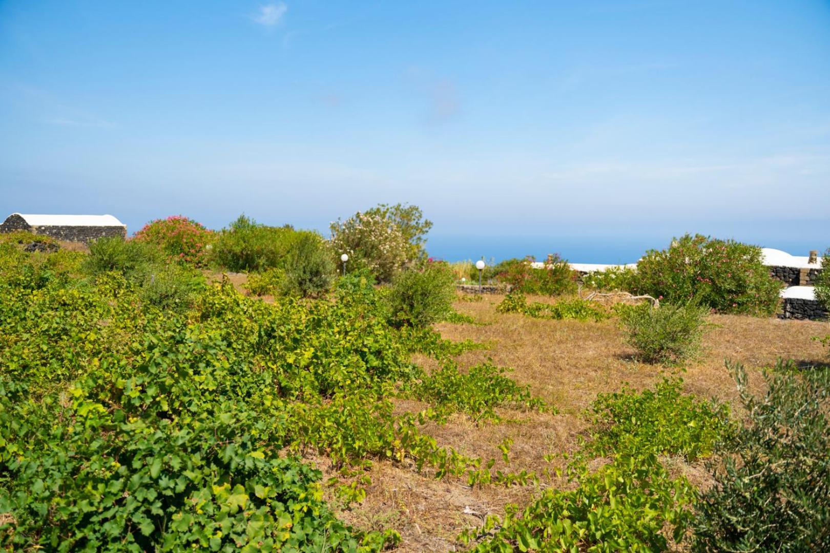 Casa Unifamiliare A Sicilia Villa Kamma Exterior photo